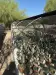 Thumbnail image8.webp 