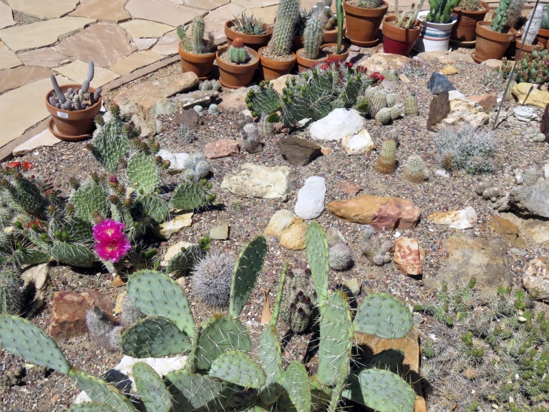 Scaled image 10.jpg 