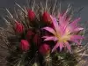 Thumbnail p02.webp 