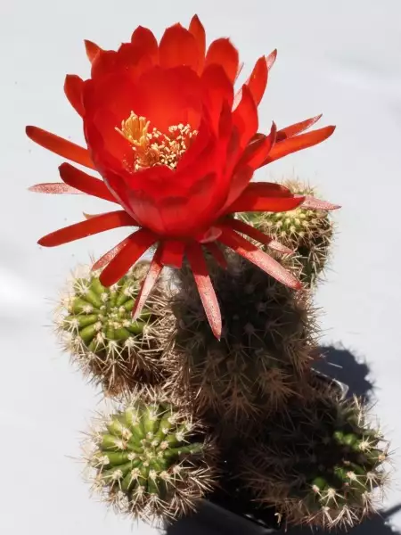 Scaled image p01.webp 