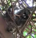 Thumbnail 1000004737.webp 