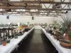 Thumbnail DSCN0803.webp 