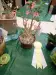 Thumbnail P4124195.webp 