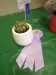 Thumbnail P4124197.webp 