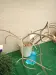 Thumbnail P4124198.webp 