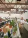 Thumbnail P4124203.webp 