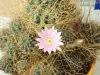 Thumbnail P4124208.webp 
