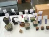 Thumbnail P4124212.webp 
