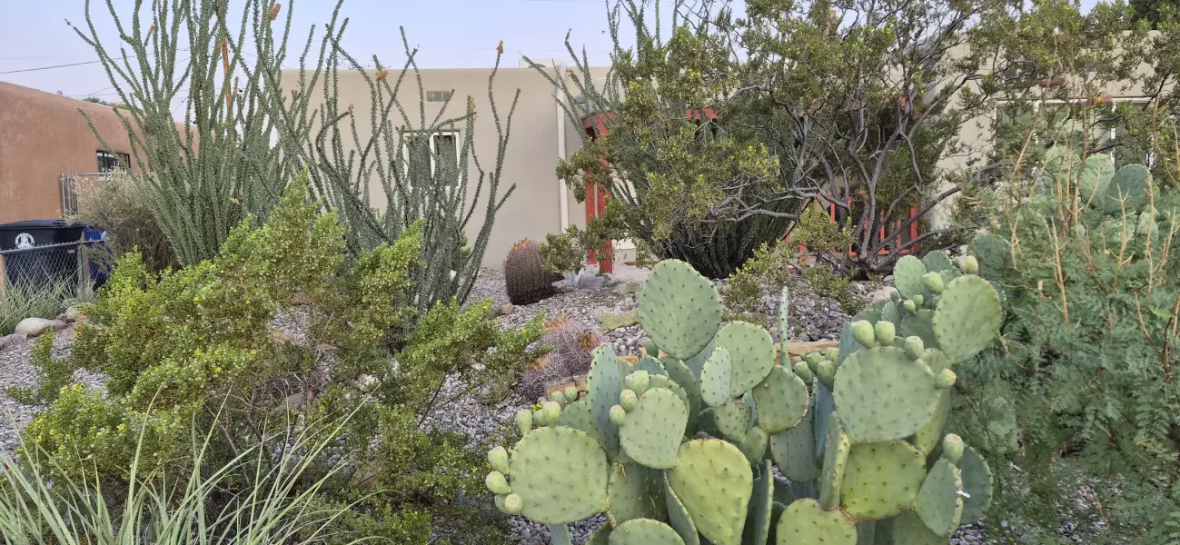 Scaled image 3-F-4.webp 