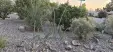 Thumbnail 3-F-5.webp 